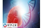 42岁试管只有3个卵泡能不能成功