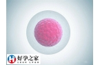 基础卵泡数量怎么调理