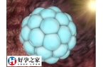 移植4BB囊胚第十天测白板什么原因