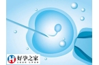 做试管之前应该做什么准备