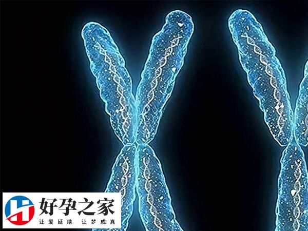 不是所有染色体异常都有明显症状