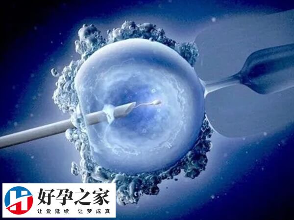 试管婴儿流程大概需要五周时间
