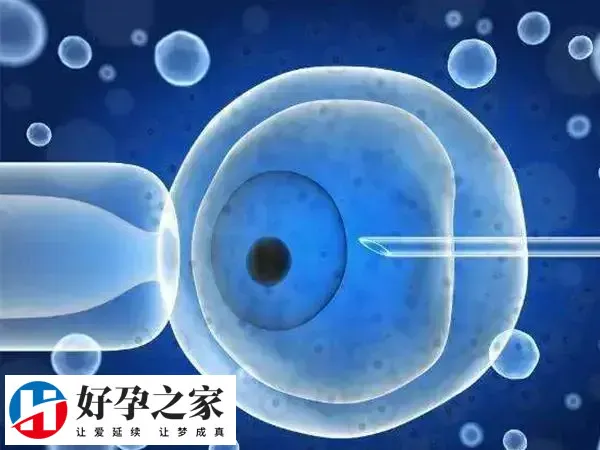 长方案适用于年龄较小