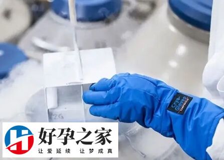 冻胚移植一次成功找对医生很重要