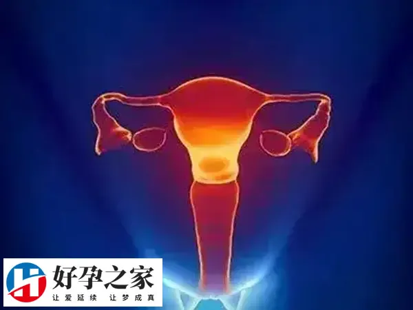 卵巢受到刺激后需要时间才能恢复