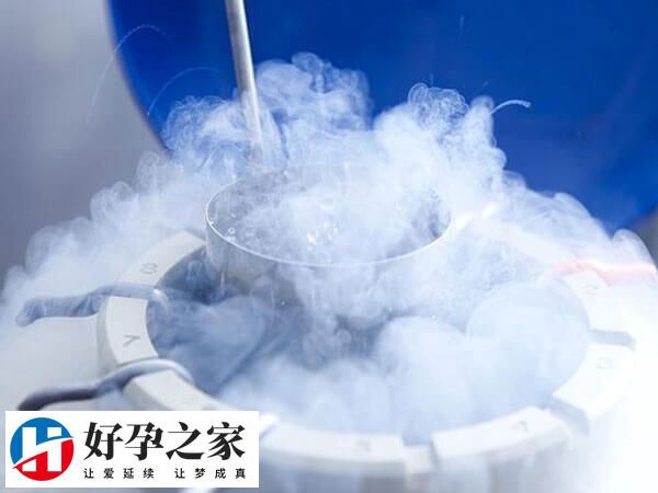 第二次试管婴儿移植的流程简单