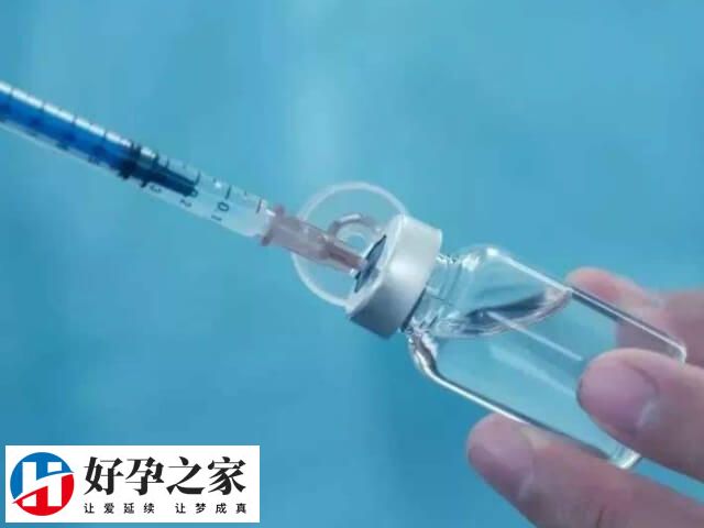 试管取卵数量不等于胚胎数量