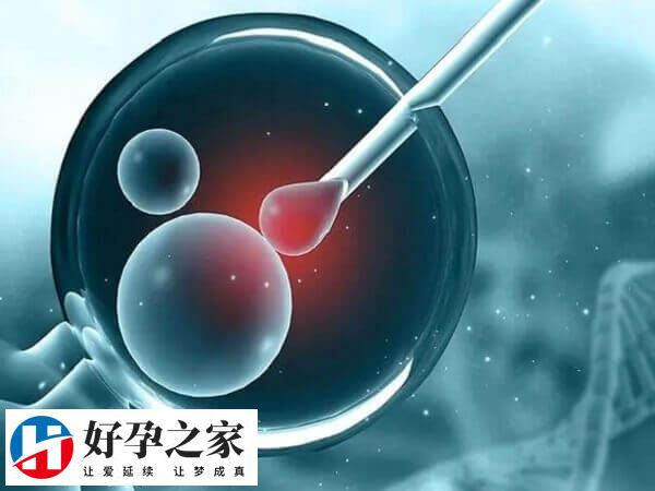 二代试管受精率更高