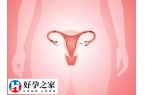 子宫内膜厚试管婴儿成功率多少