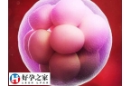 囊胚移植十天才着床正不正常